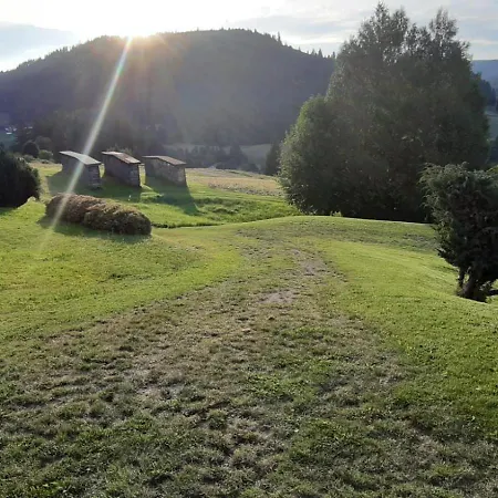 Seefried Baiersbronn